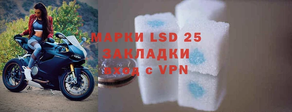 ПСИЛОЦИБИНОВЫЕ ГРИБЫ Бикин