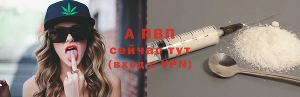 ПСИЛОЦИБИНОВЫЕ ГРИБЫ Бикин